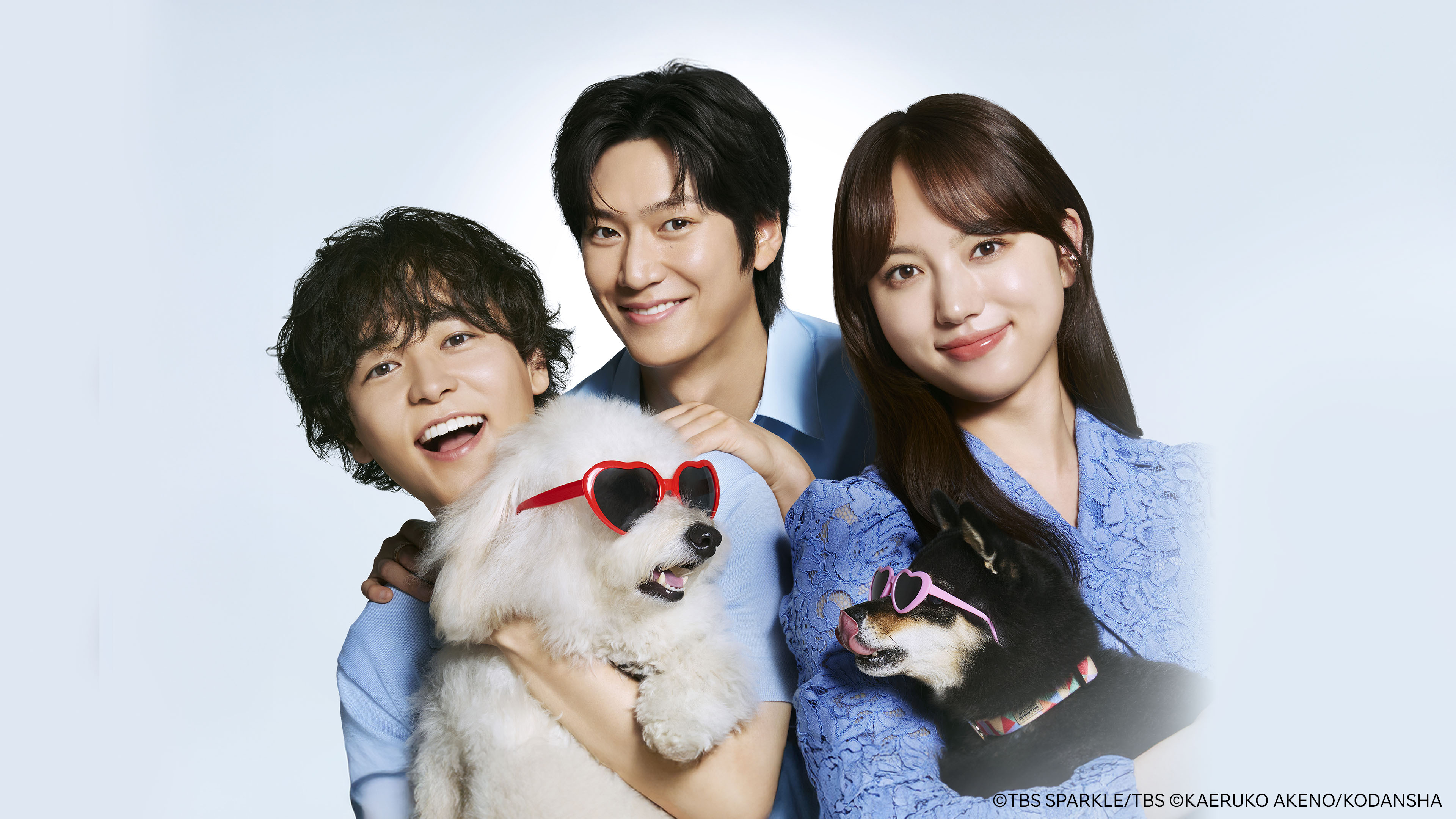 初恋DOGs DVD-BOX 火曜ドラマ『初恋DOGs』／DVD-BOX（TBSオリジナル特典付き・送料無料