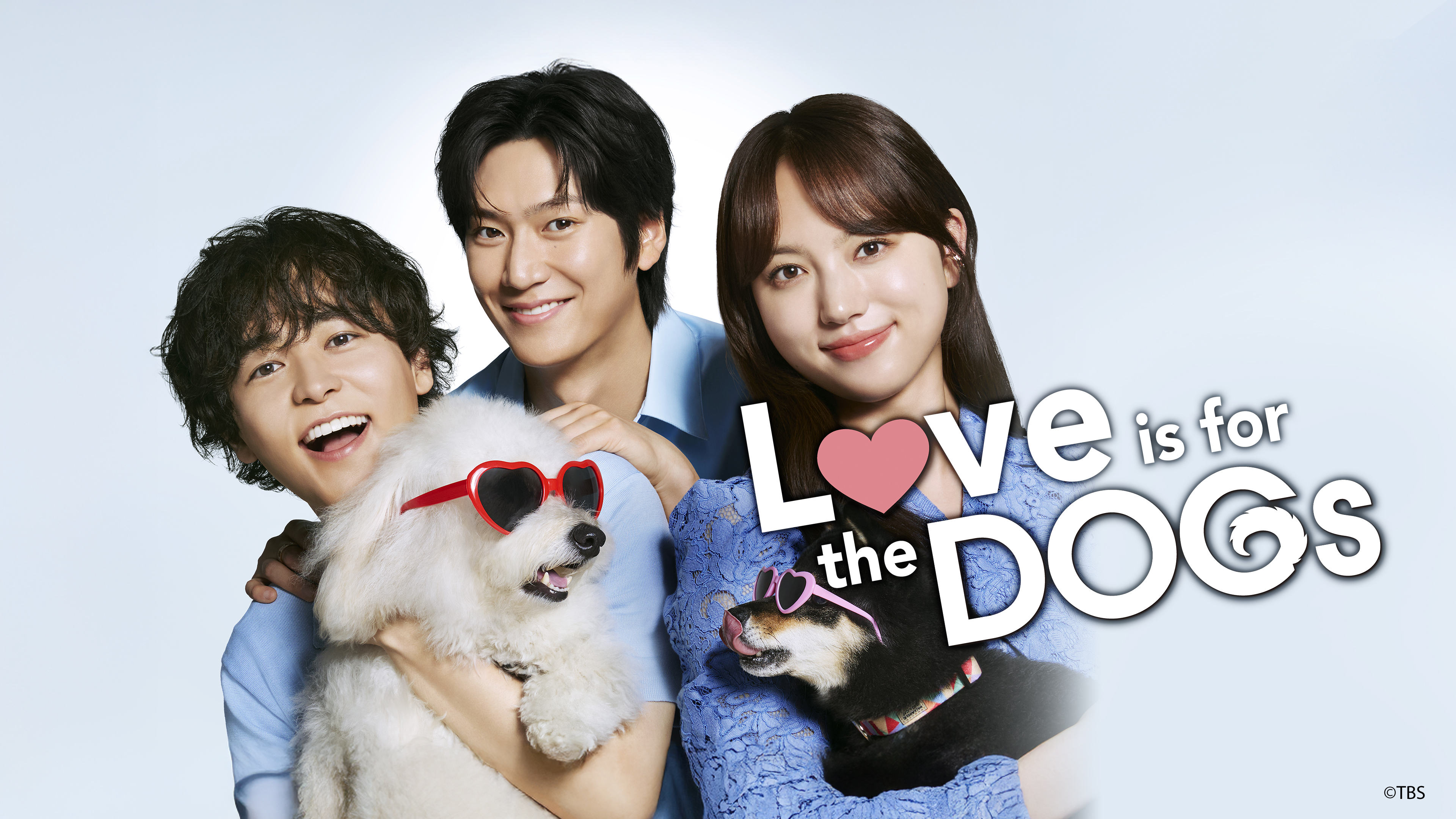 Love is for the Dogs | Watch with English Subtitles & More | Viki
